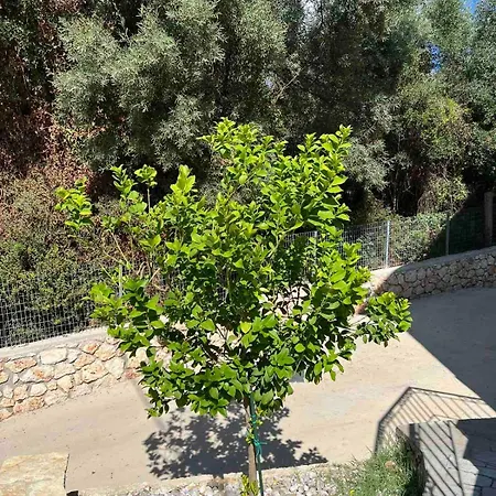 Sissy 1 Appartement *