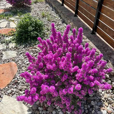 Sissy 1 Poros (Lefkada)