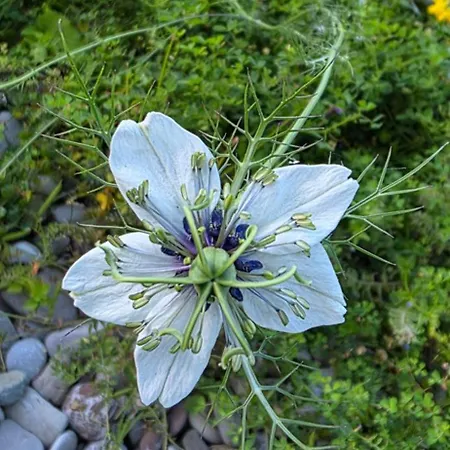 Sissy 1 Апартаменты *